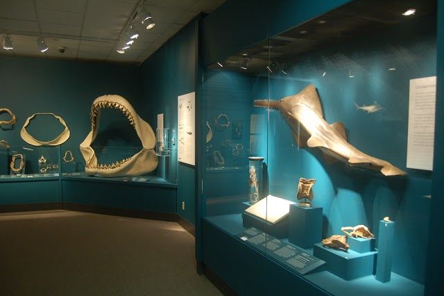 Bruce Museum of Arts and Science